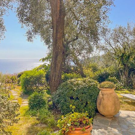L'Uliveto Di Santa Con Piscina Villa Santa Margherita Ligure Exterior foto
